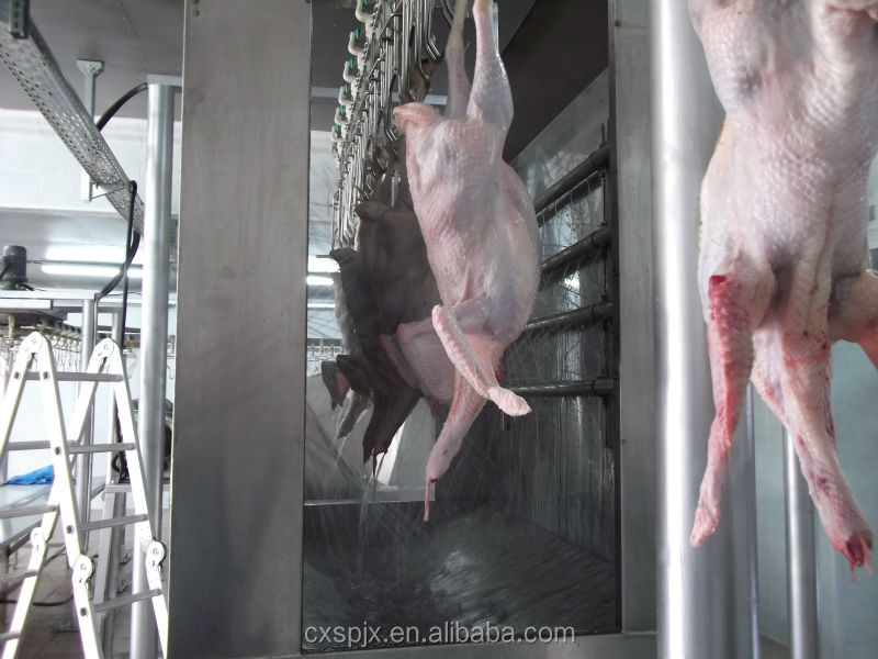 Customized Automatic Halal Poultry Slaughtering Equipment For Chicken Plucking Process