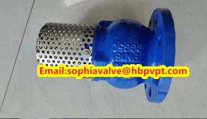 Quality DN80 GGG50 PN16 cast iron flanged foot valve wholesale