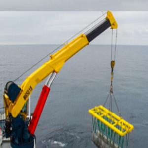 Quality 10 Ton Pedestal Marine Hydraulic Crane with 12m~35m Span wholesale