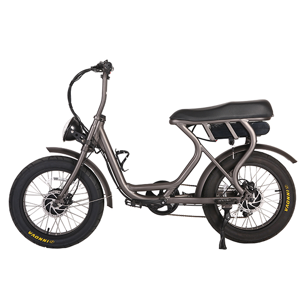 Disc Brake 48v1000w Electric Bicycle City Design Electric Fat Bike for Adults Battery15ah/20ah