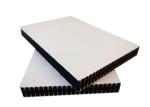 Slab Construction Plastic Construction Formwork Concrete Wall 12mm 15mm 18mm
