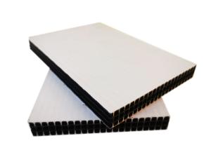 Quality Slab Construction Plastic Construction Formwork Concrete Wall 12mm 15mm 18mm wholesale