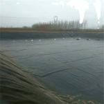 0.2mm Black Plastic Anti-Seepage Geomembrane with CE/ISO9001/ISO14001 Certificat