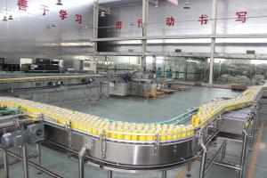 Quality SS316 Beverage Can Filling Machine wholesale