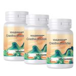 Gluten-Free Creatine Gummy Supplement Natural Fruit Flavored Vegetarian