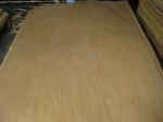Rotary Cut/Peeled Birch Wood Veneer Sheet