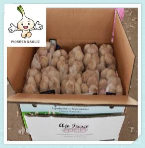 Quality 2016 Garlic Normal White Garlic Fresh Garlic dry red Garlic wholesale