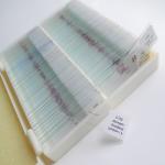 Human Histology Tissue Teaching 100piece Prepared Microscope Slides Sets In