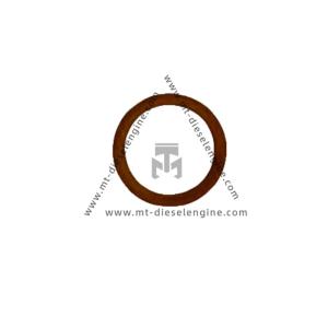 Quality Sealing ring 01118737 1118737 0111 8737 For DEUTZ TD3.6 Engine wholesale