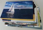 Building 1220mm Signage Aluminum Composite Panel Mould Proof 2mm ACP Sheet