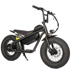 Quality 16 Inch Aluminum Alloy Frame Kids' Balance Bikes Light and Seat Included for Children wholesale