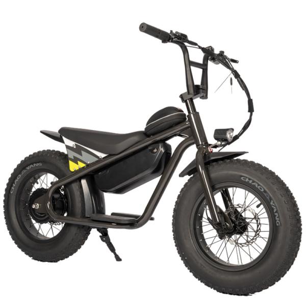 Aluminum Alloy Frame Kids Motorcycle Ebike 250W Motor 13Ah Battery High Safety