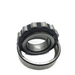P6 NU 204 ECP SKF Roller Bearings With Catalogue
