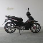 7500RPM CDI Ignition TR135-NF 135CC Cub Motorcycle