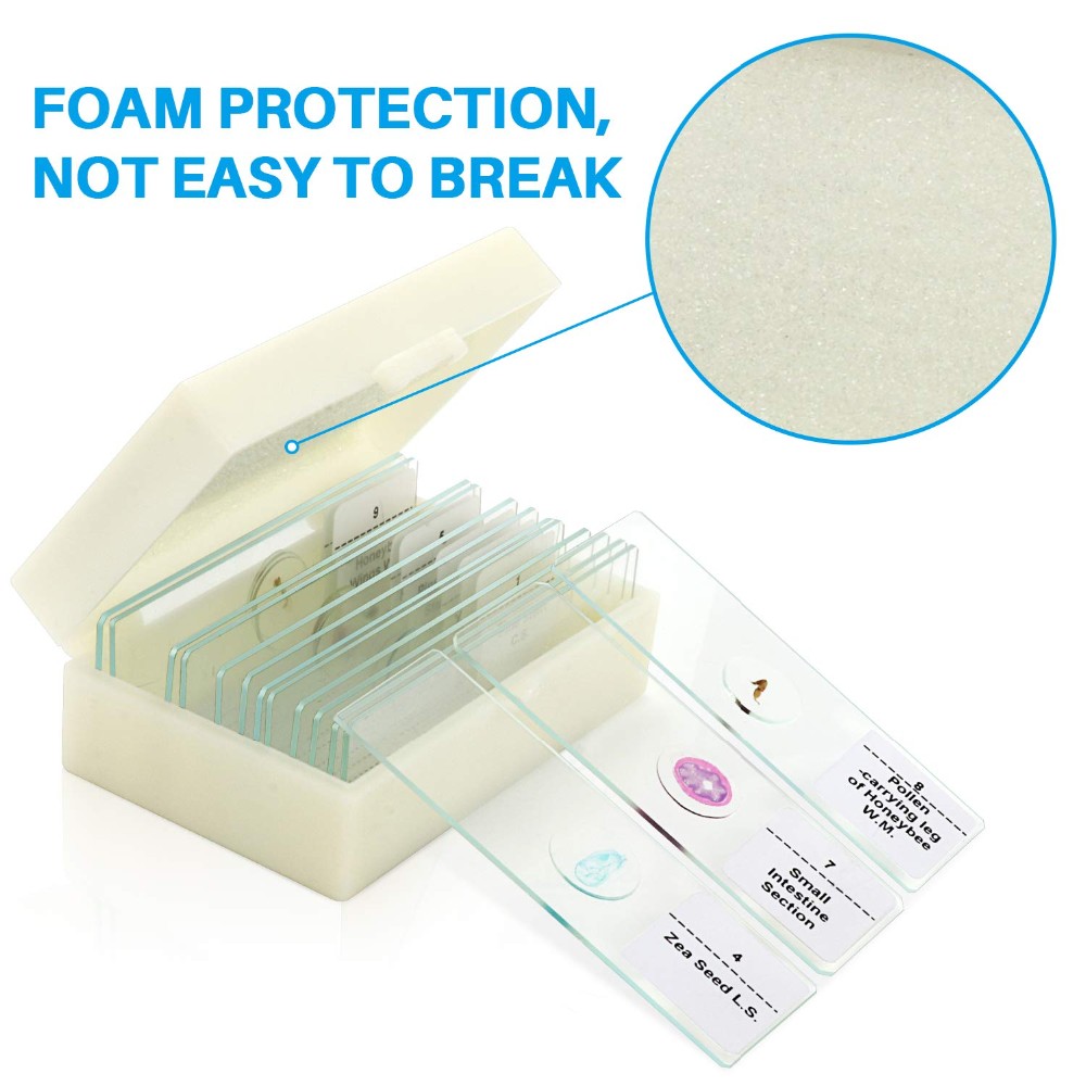 Lab Research Plastic Box 25pcs Pre Prepared Microscope Slides