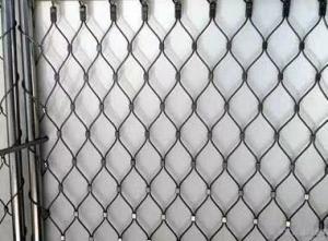 Quality Black Oxide Bird Stainless Steel Rope Mesh 7 X 7 wholesale