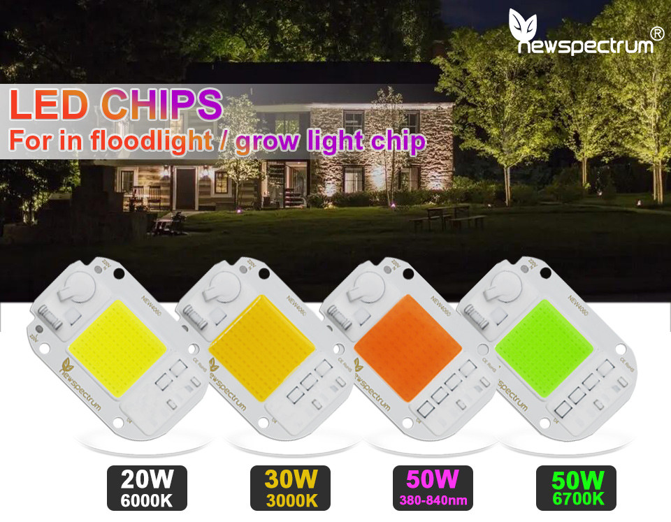 Driverless 50w Led Module