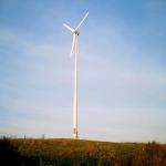 5KW/10KW Residential 3 Phase 380VAC Wind Turbine for On Grid Hybrid Power