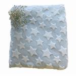 100% Polyester Soft Flannel Fleece 58'' 60" For Blanket Pillowslip