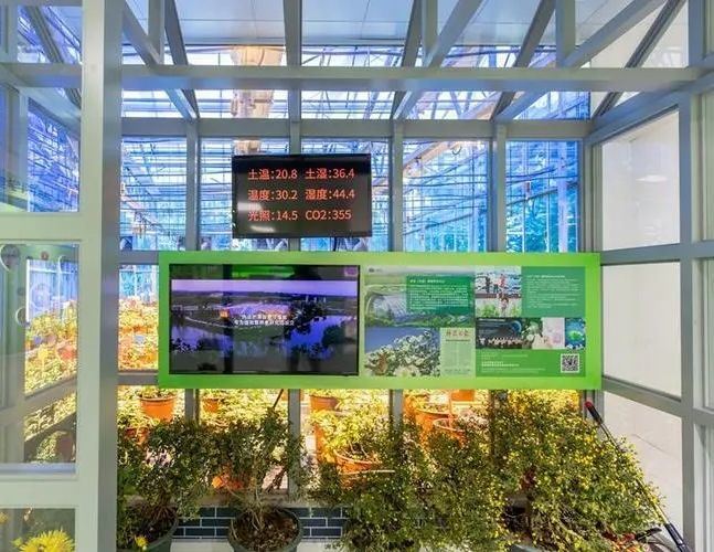 Humidity-Controlled Planting Facility by Juxiang