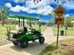 2 Seater Golf Buggy Golf E Car