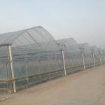 Durable Tomato Greenhouse Agriculture Plastic Film with Cooling and Heating