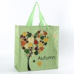 Reusable PP Woven Bag