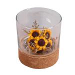 Toxicless Odorless Glass Jar Cork Wood Base Groove 2.5 Inch for Micro Landscape
