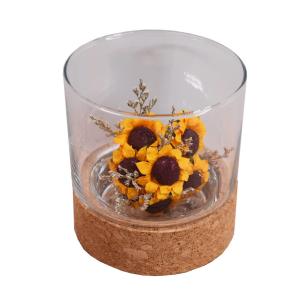 Quality Toxicless Odorless Glass Jar Cork Wood Base Groove 2.5 Inch for Micro Landscape wholesale