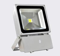 China 100 Watt LED Outdoor Flood Lights IP65 Waterproof For Workshop CRI > 80 on sale