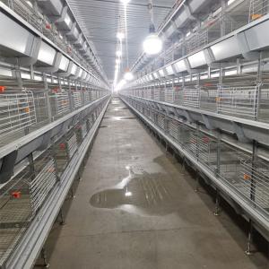 Quality Big Size 85*62.5*50 Cm Broiler Chicken Cage Baby Chick Used wholesale