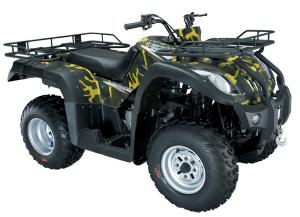 Quality 250cc ATV Battery Powered All Terrain Vehicle Hand Controlled 4x2 Off Road Snow wholesale