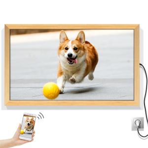 Quality Voice Recording 80W 49&quot; 3840*2160 LCD digital photo frame wholesale