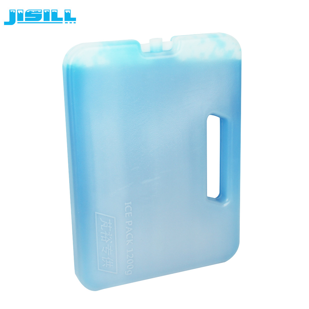 FDA Material HDPE Plastic Large Ice Eutectic Cold Plate Ice Bag With Handle