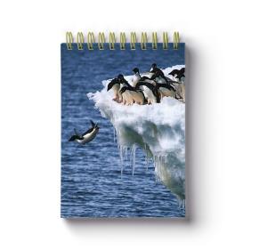 China Animal Spiral Bound Notebook School Stationery Set 3D Printing on sale