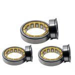 NJ205 C3 Cylindrical Needle Roller Bearing Nj205 25x52x15mm