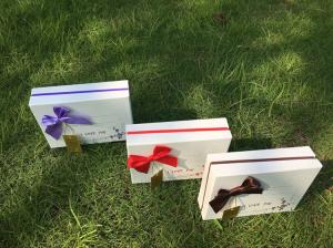Quality Customized Empty Rigid Paper Gift Box Chocolate Gift Box Packaging For Festival wholesale