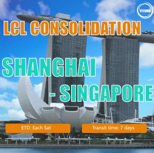 Quality LCL Shipping Agent Sea Freight From Shanghai To Singapore wholesale