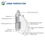 5 Inch DEPTFE Membrane Pleated Cellulose Filter Cartridge For Pharmaceutical