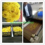 Microwave Flower Drying Equipment