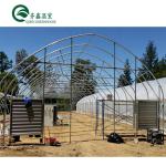 Single-Span Agricultural Greenhouses with Film Cover The Perfect Growing