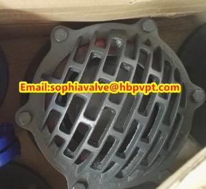 Quality 6 inch GG20 BS4504 flanged foot valve wholesale