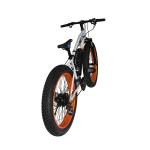 Fat Tire Snow 2 Wheel Electric Bike 500w Foldable 4-6h Charging Time With CE