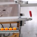 Small Dust Free Sliding Table Saw