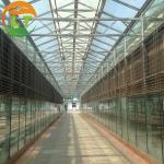 Multi-Span Agricultural Greenhouses with Hot-Dip Galvanized Steel and Smart