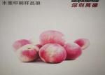 Corrugated Box Industrial Digital Printing Machine Save Time WDR200-44A