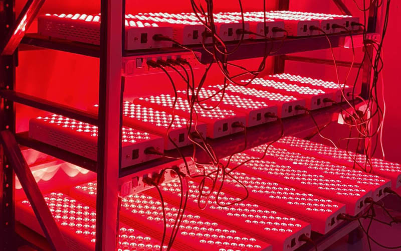660nm 850nm LED Red Light Therapy Skin Rejuvenation 400W Infrared Light Therapy Panel
