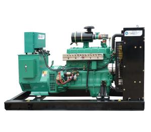 Quality 8-1000KW Biogas Generator wholesale