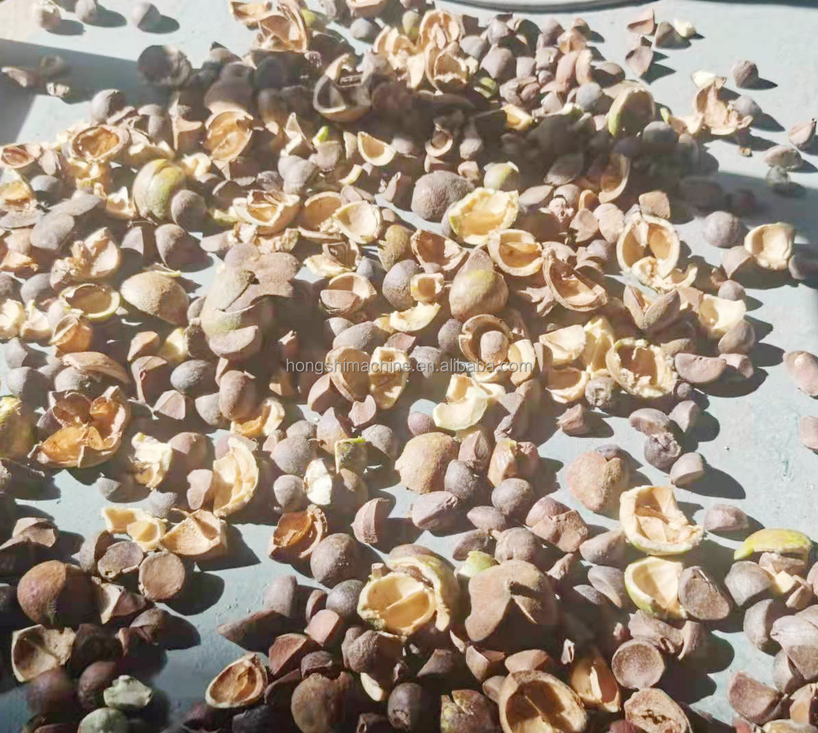 Camellia Seed Shelling Sorting Automatic Food Processing Machine Commercial