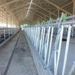 Lanjing Prefabricated Steel Structure Farm House , Modern Metal Livestock